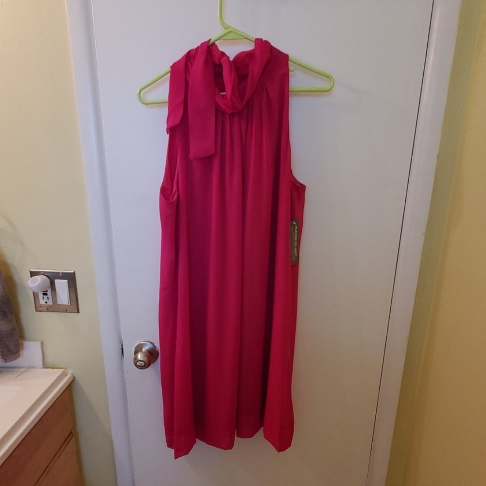 Pink Sleeveless Eva Mendas Dress